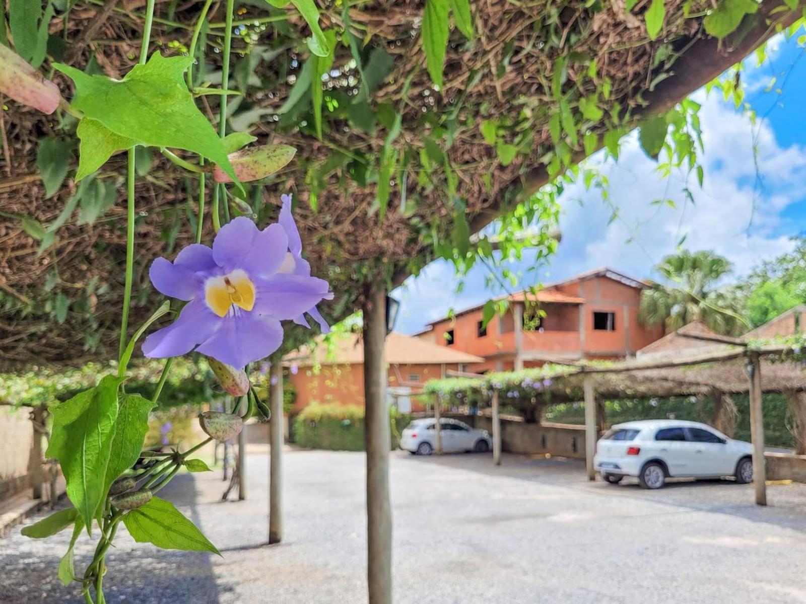 Hotel Pousada Aguas De Bonito Бонито Екстериор снимка